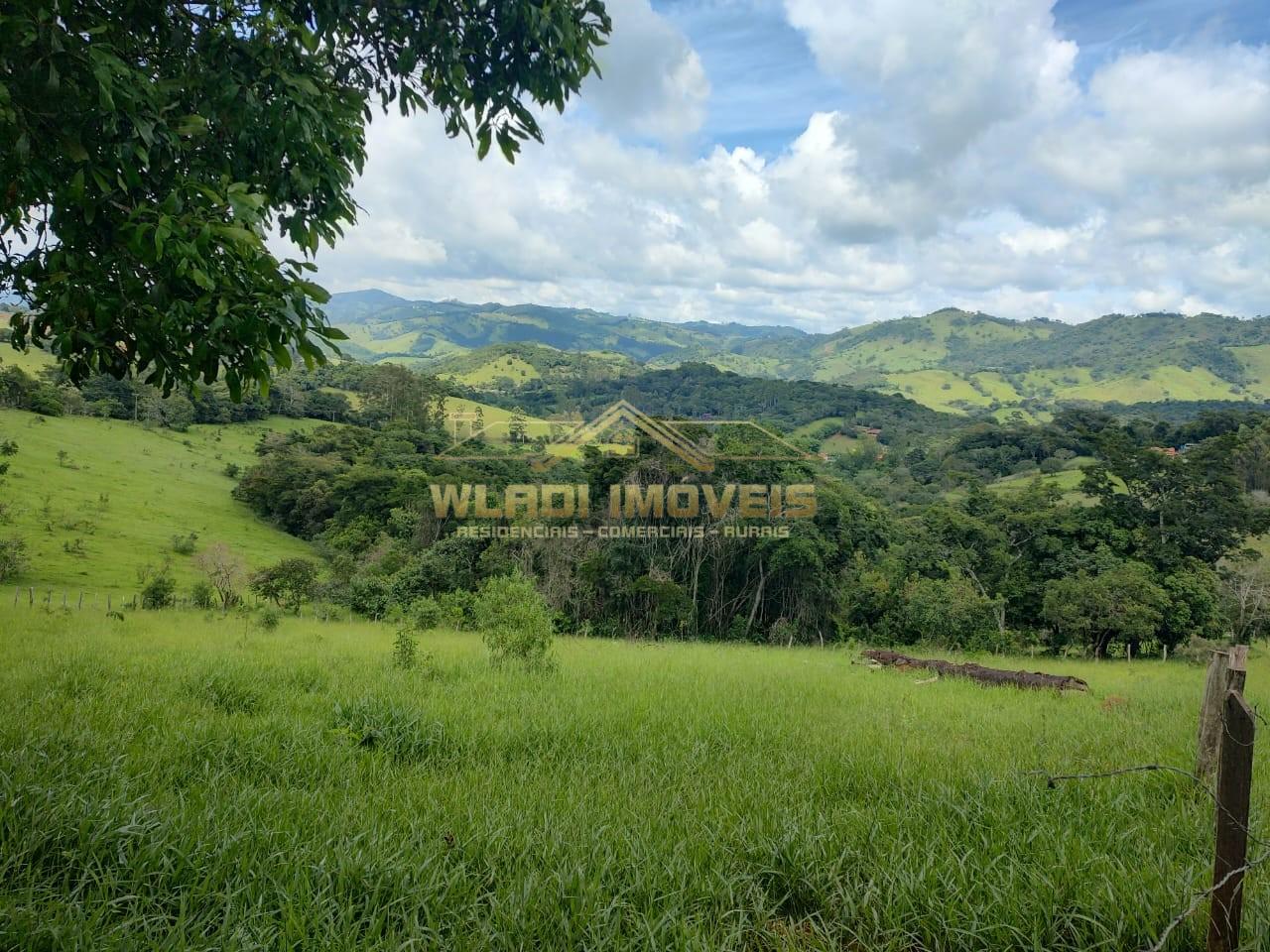 Terreno, 3 hectares - Foto 14