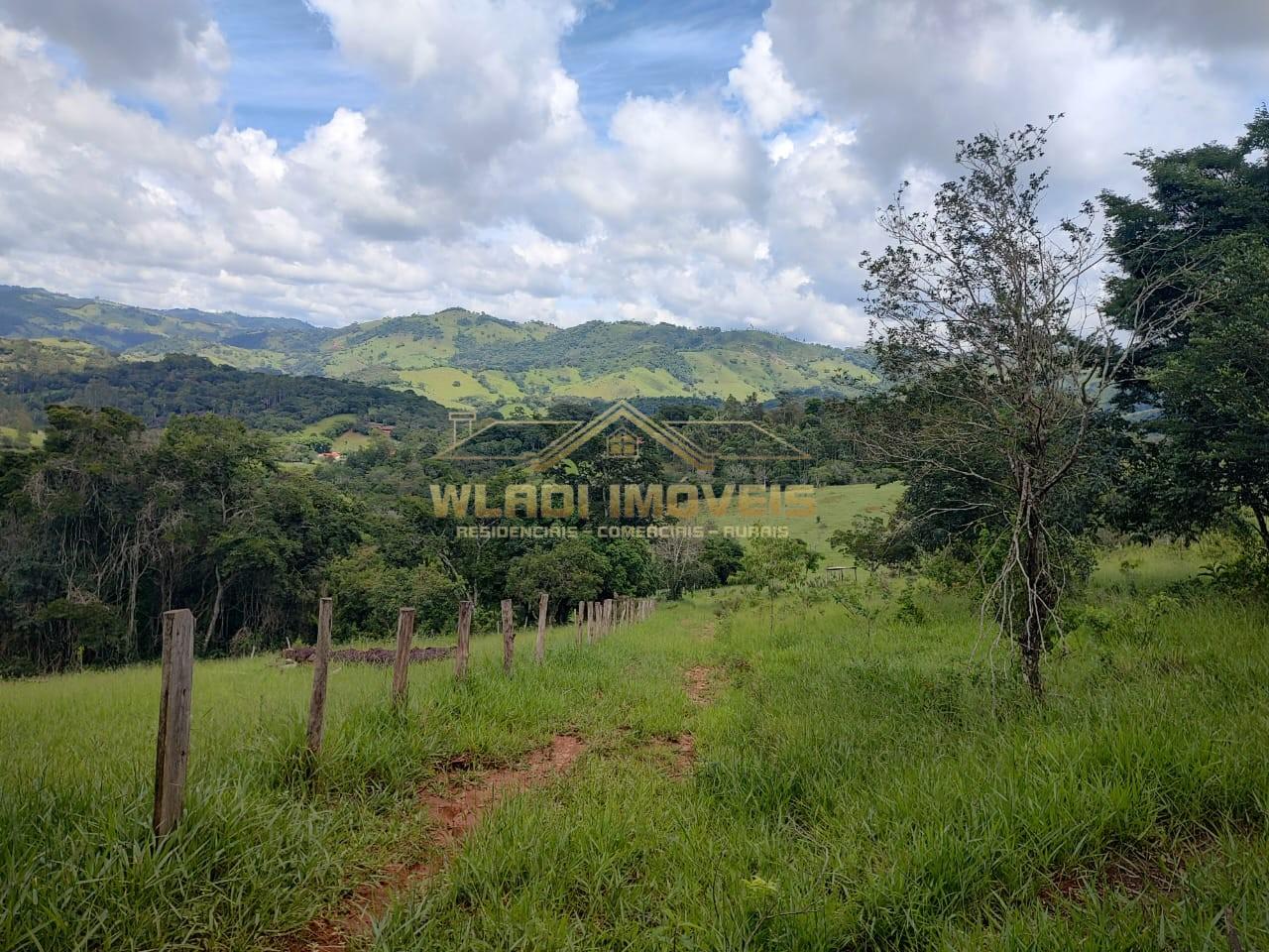 Terreno, 3 hectares - Foto 2