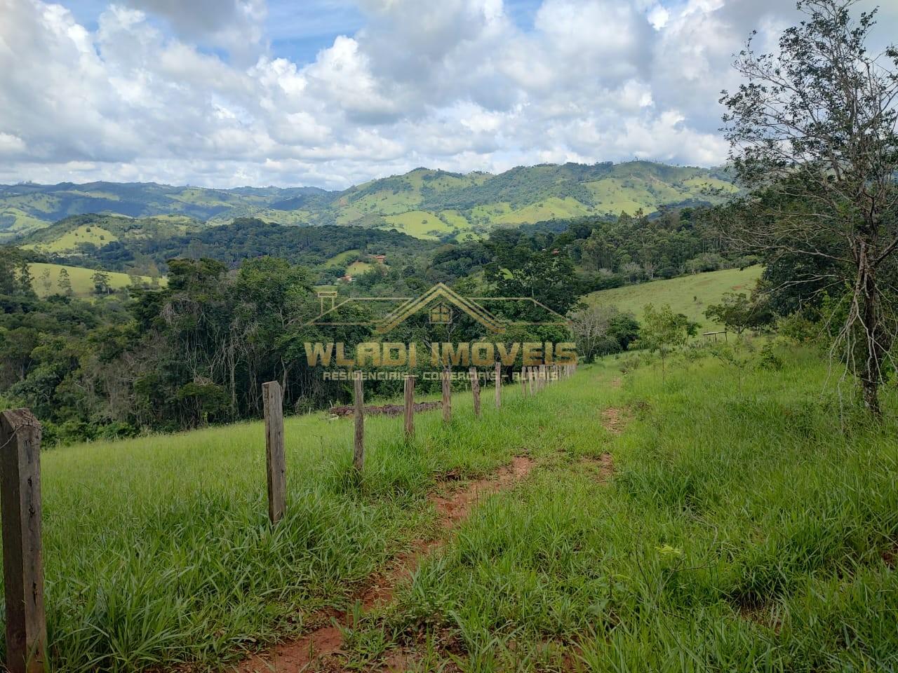 Terreno, 3 hectares - Foto 1