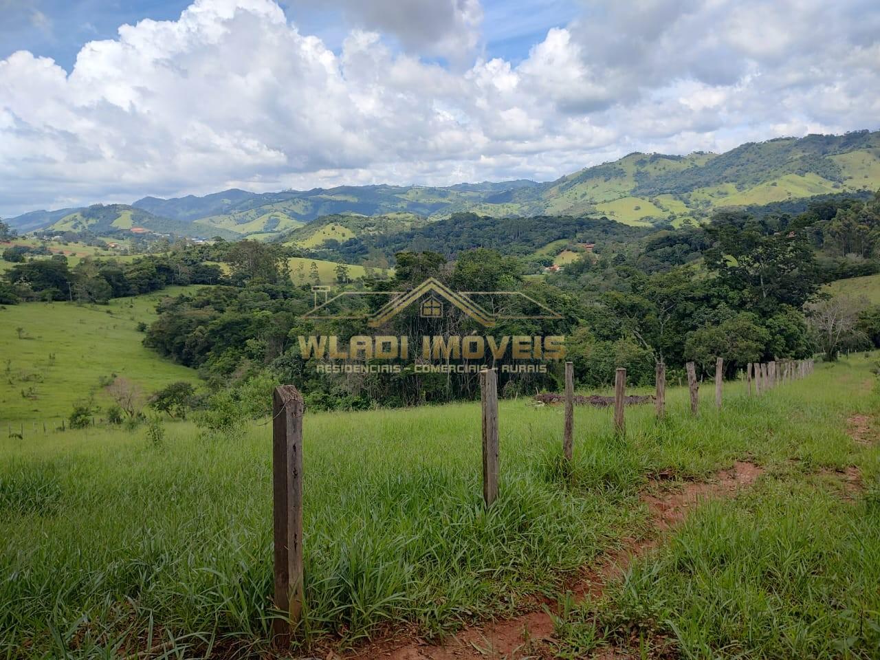 Terreno, 3 hectares - Foto 15