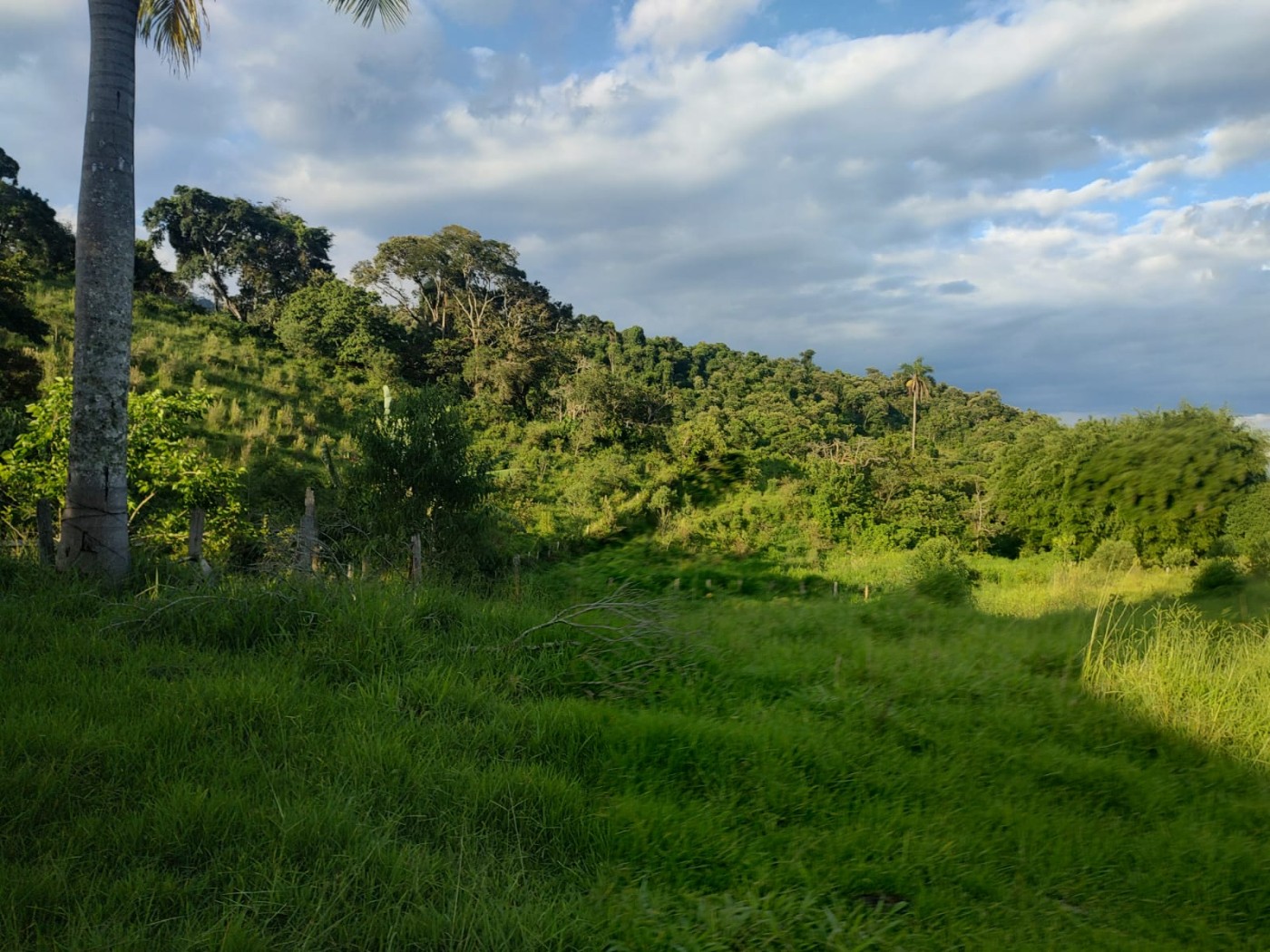 Sítio, 24 m² - Foto 19