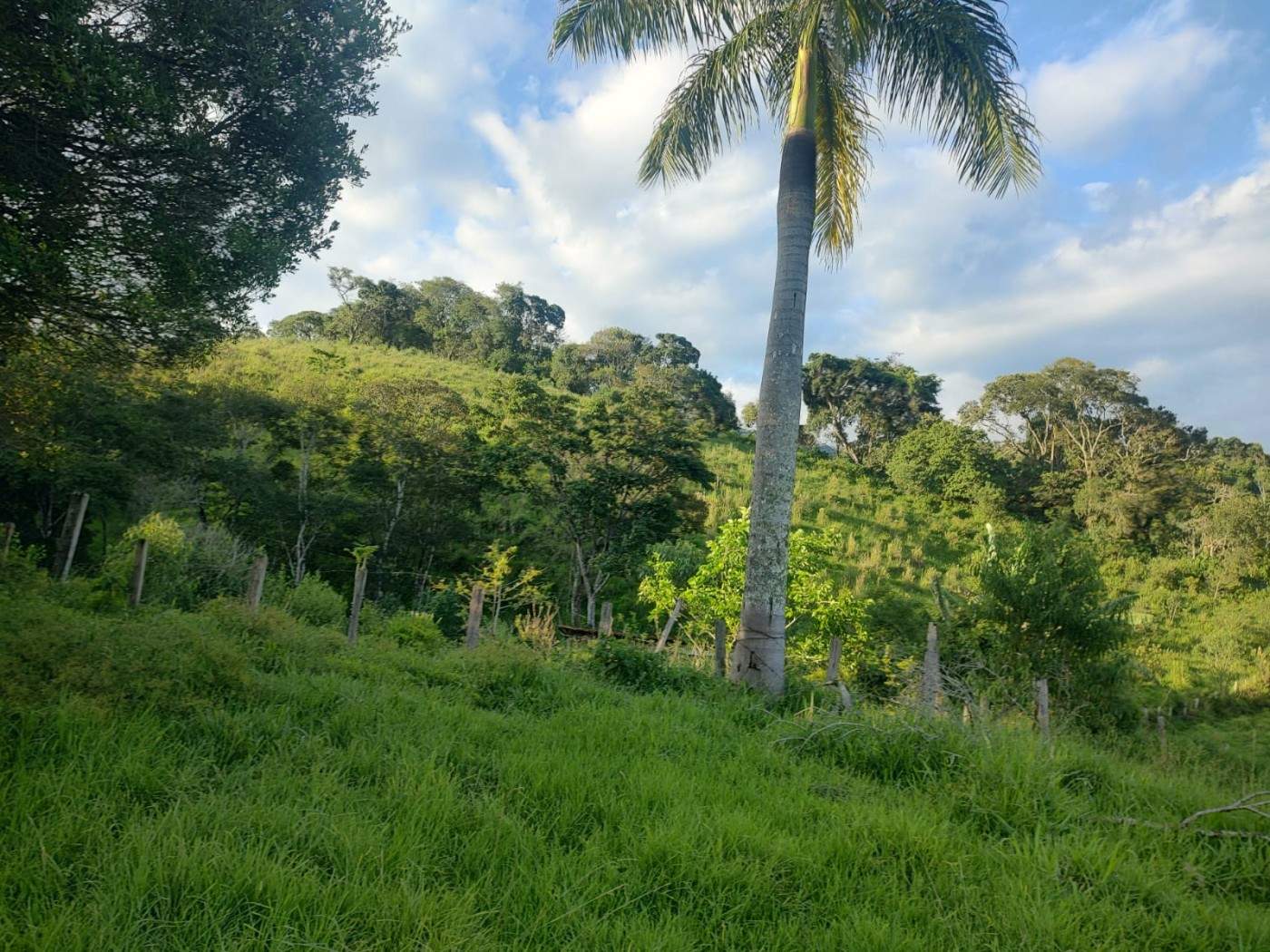 Sítio, 24 m² - Foto 20