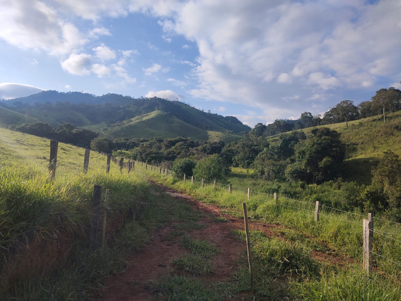 Sítio, 24 m² - Foto 4