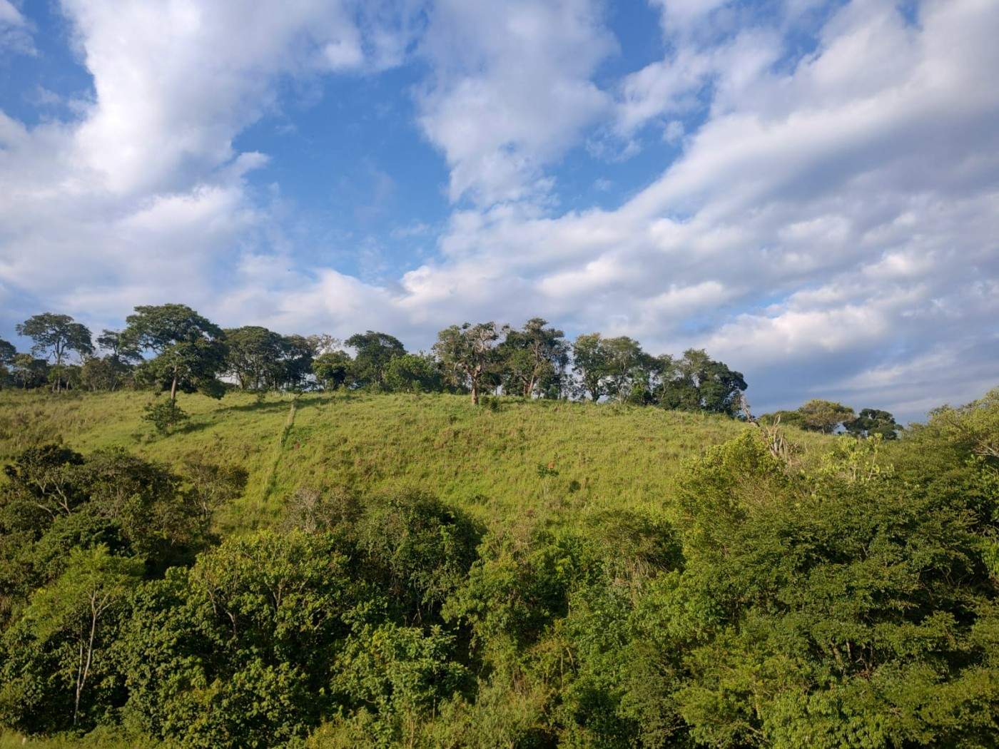 Sítio, 24 m² - Foto 17