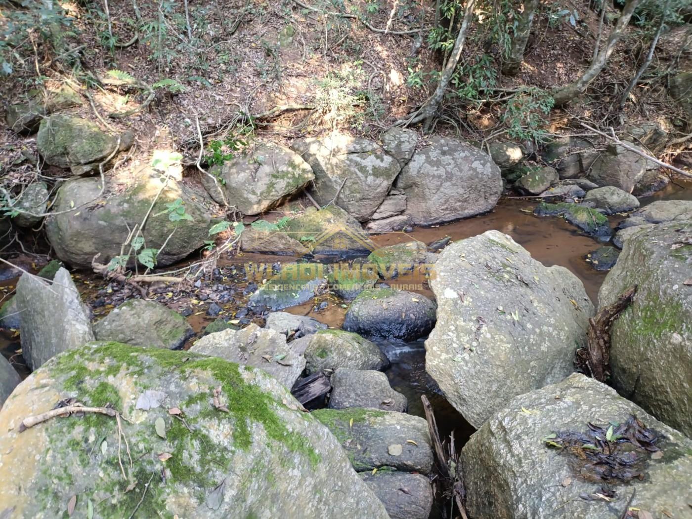 Sítio, 3 m² - Foto 7