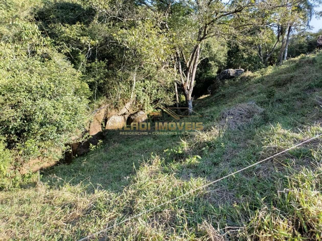 Sítio, 3 m² - Foto 12