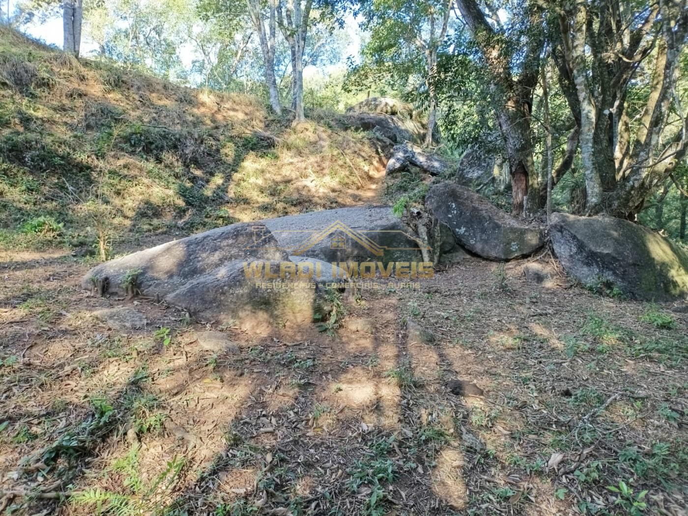 Sítio, 3 m² - Foto 10