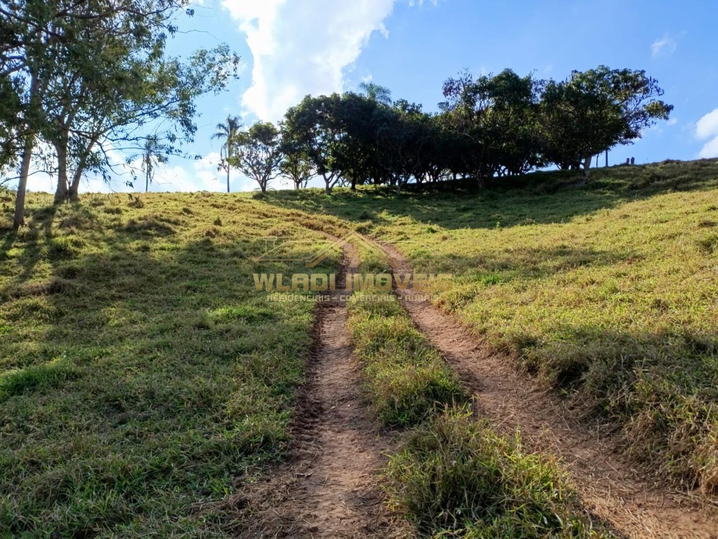 Sítio, 3 m² - Foto 13