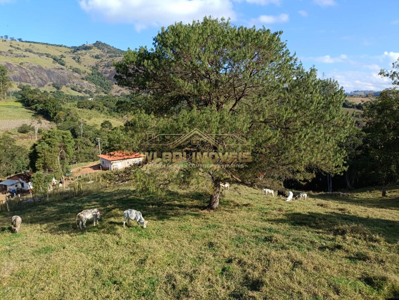 Sítio, 3 m² - Foto 14