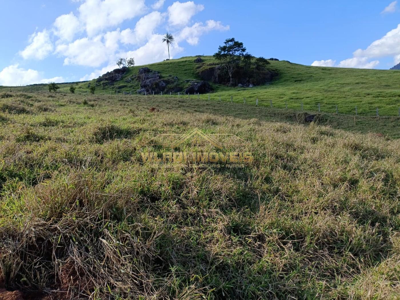 Sítio, 3 m² - Foto 15