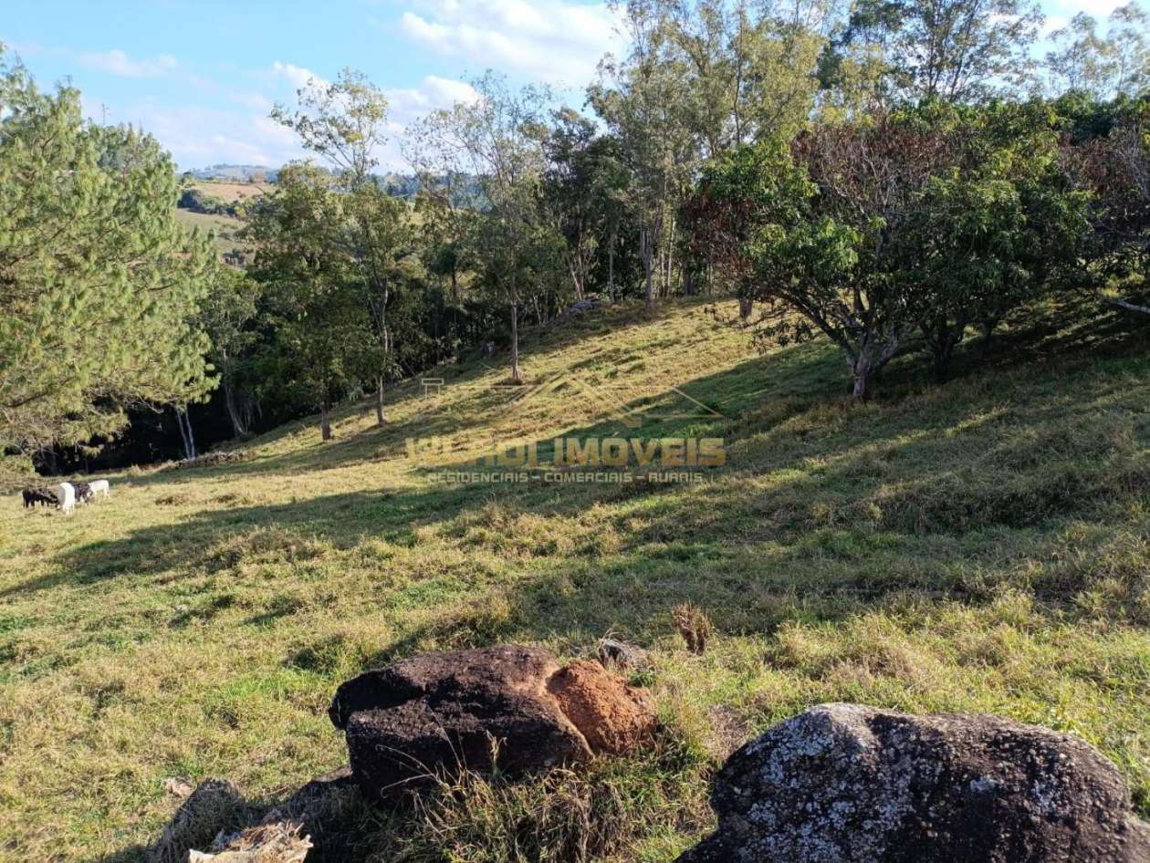 Sítio, 3 m² - Foto 16