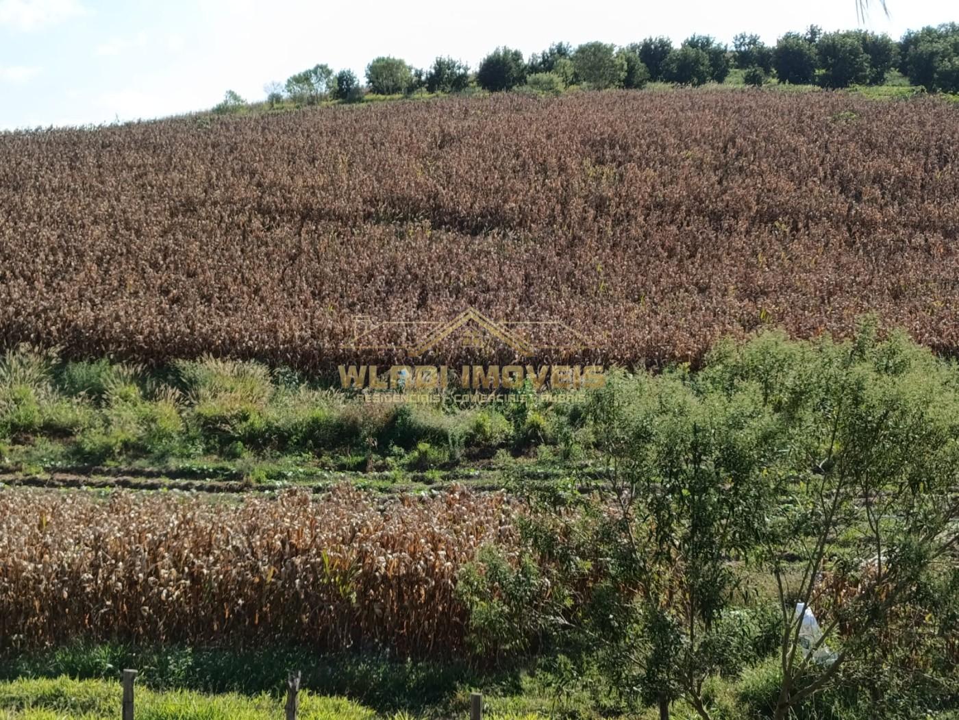 Sítio, 3 m² - Foto 2