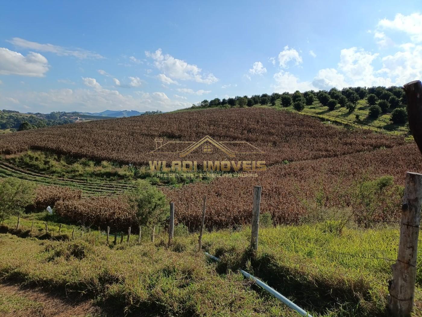 Sítio, 3 m² - Foto 17