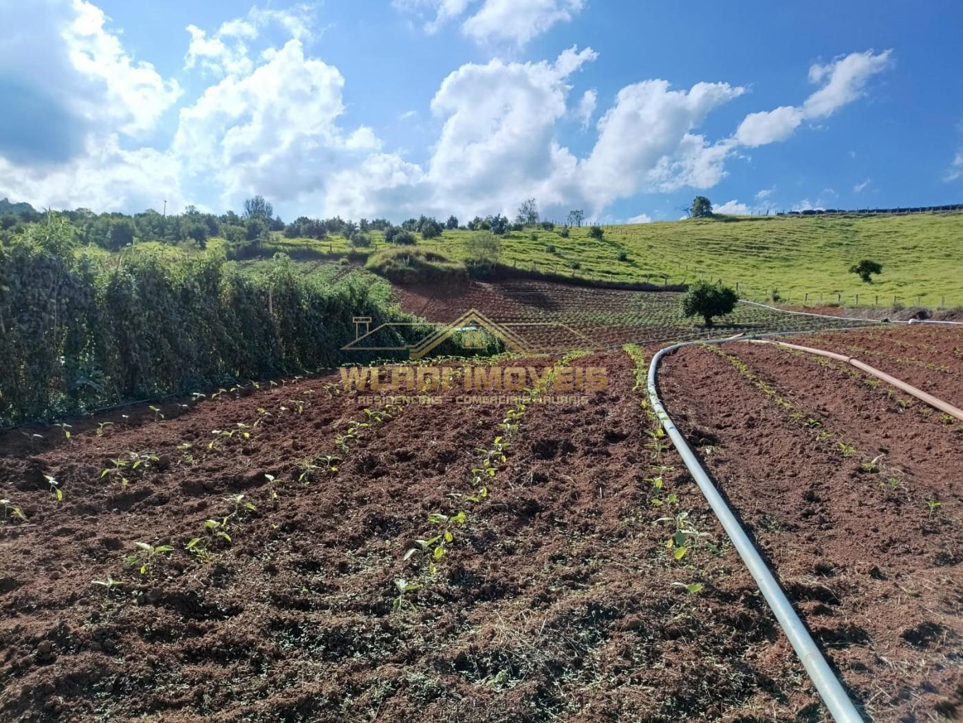 Sítio, 3 m² - Foto 6