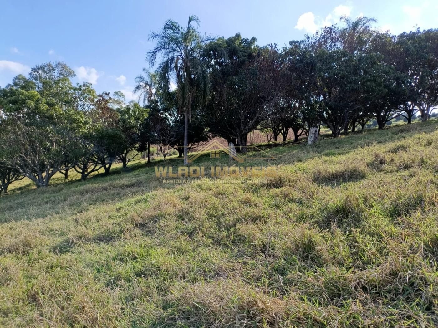 Sítio, 3 m² - Foto 18