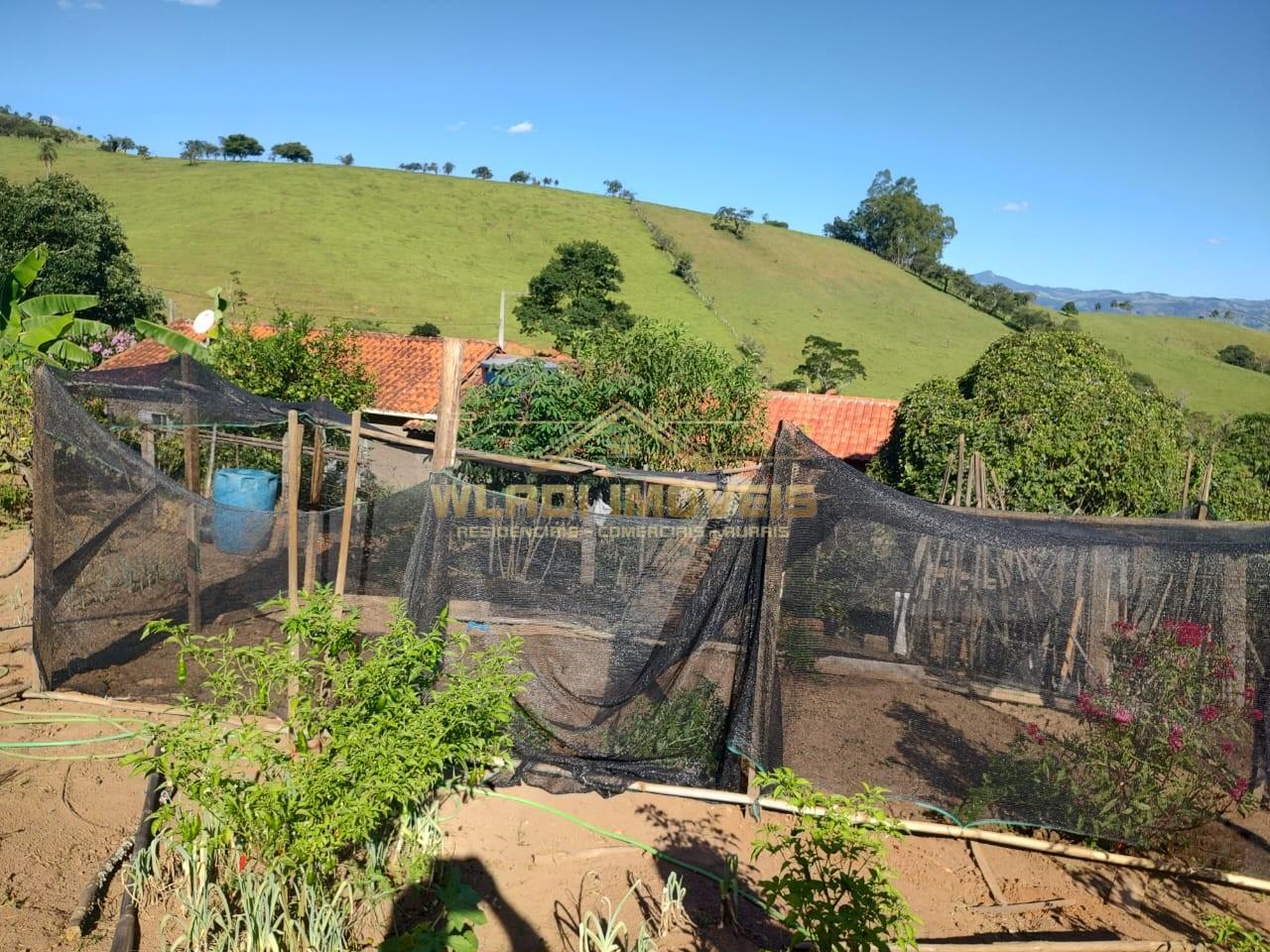 Chácara, 5000 m² - Foto 2