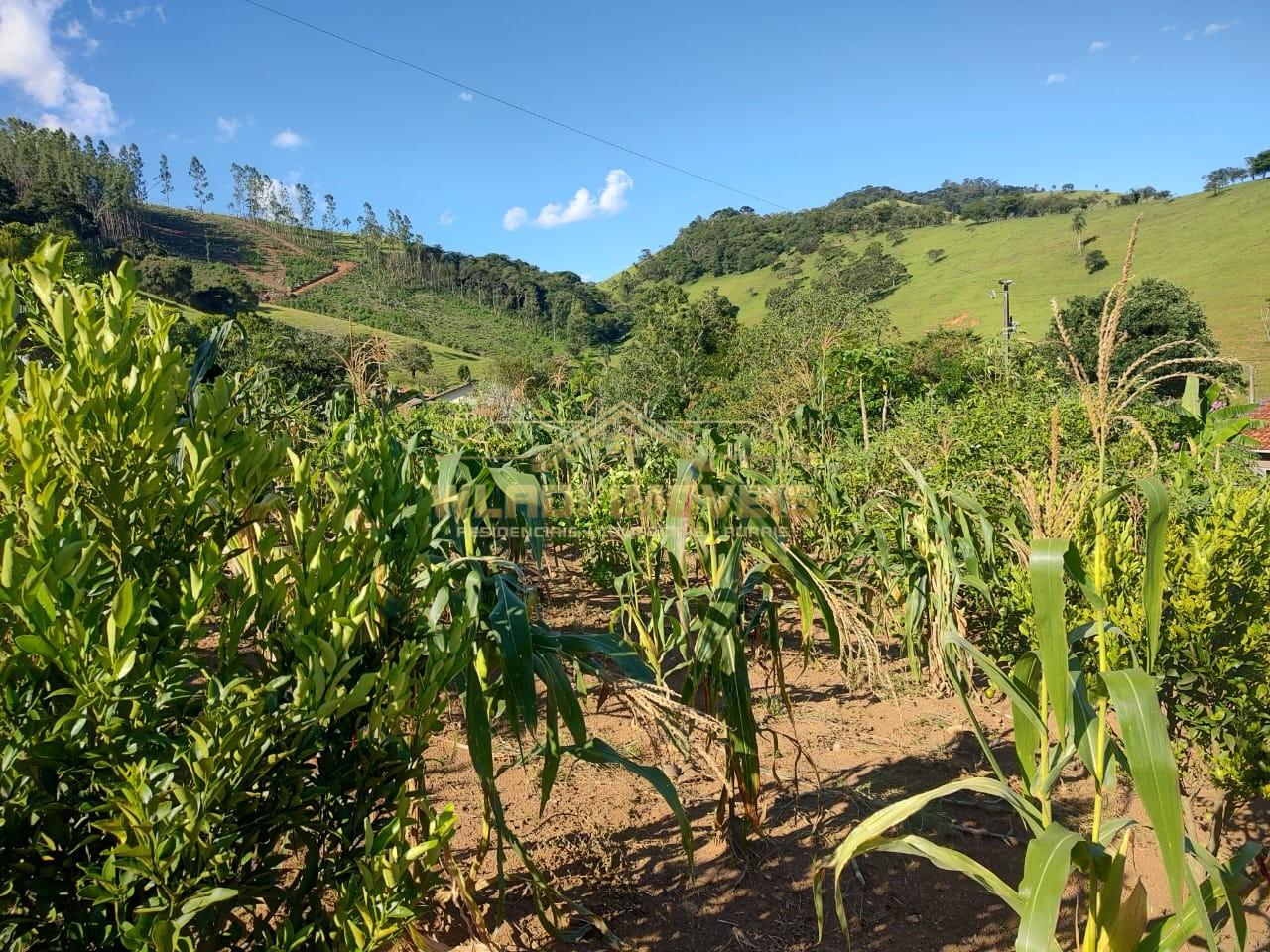 Chácara, 5000 m² - Foto 4