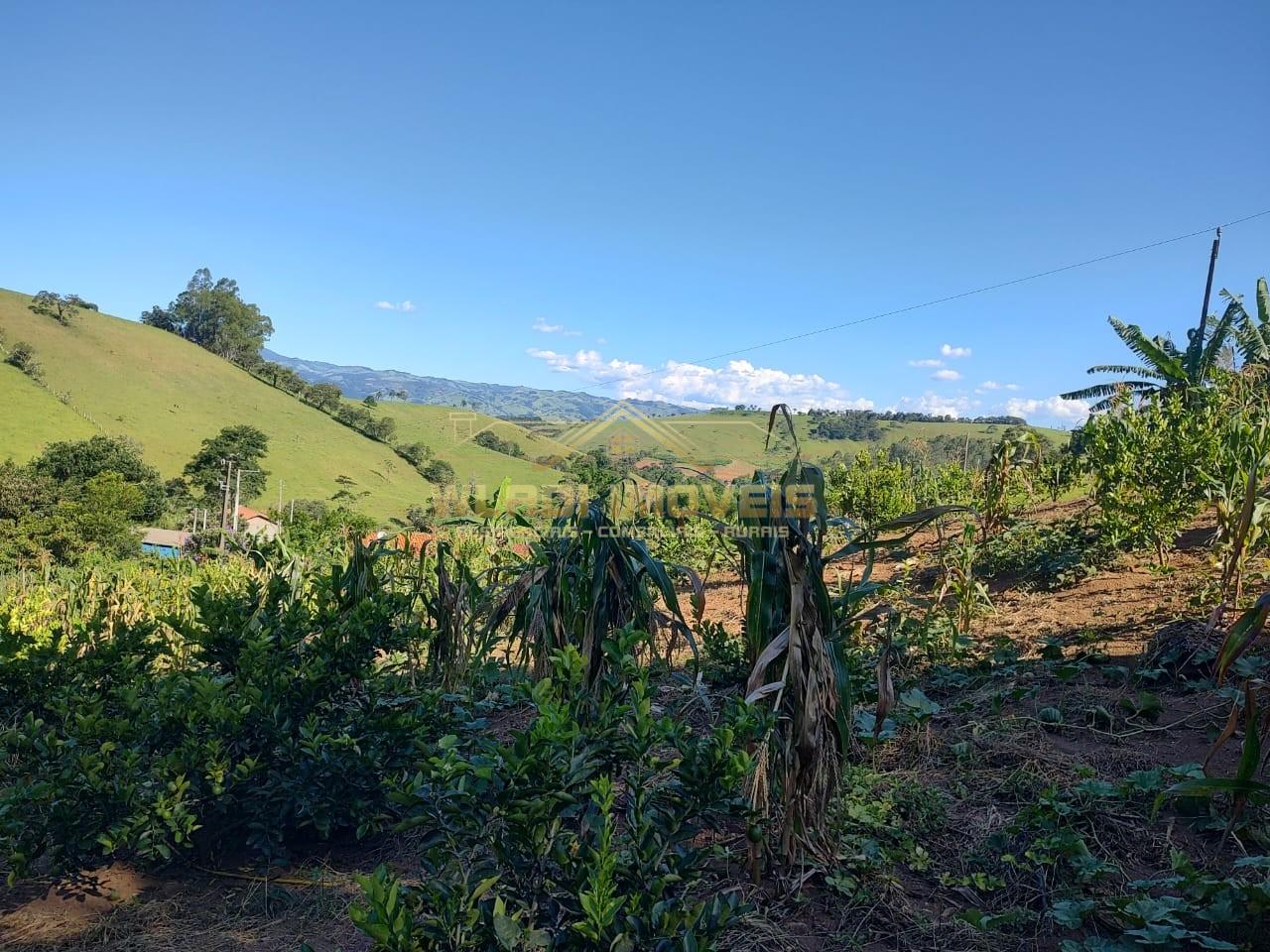 Chácara, 5000 m² - Foto 6