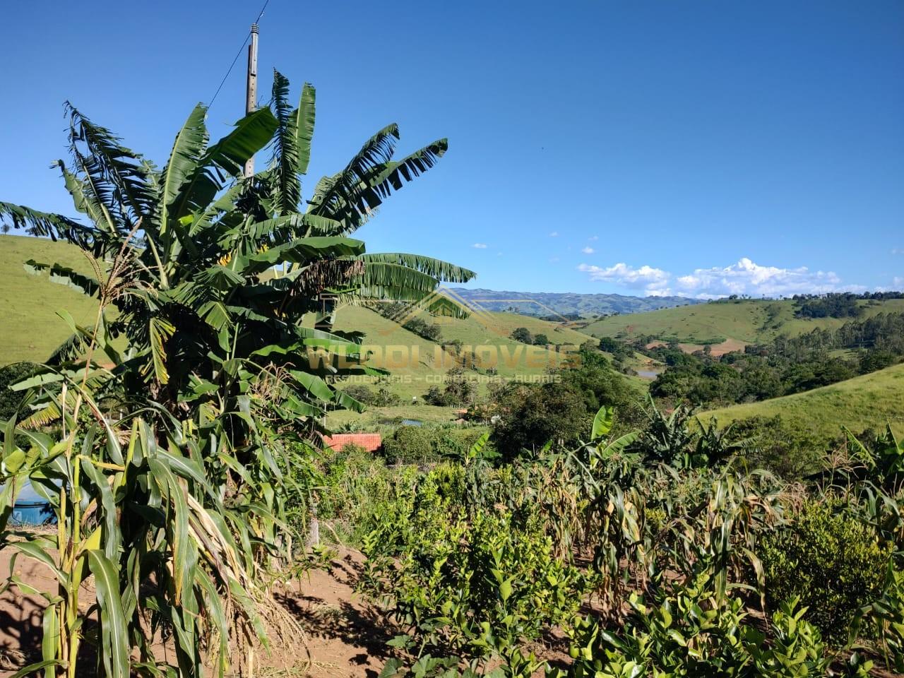 Chácara, 5000 m² - Foto 3