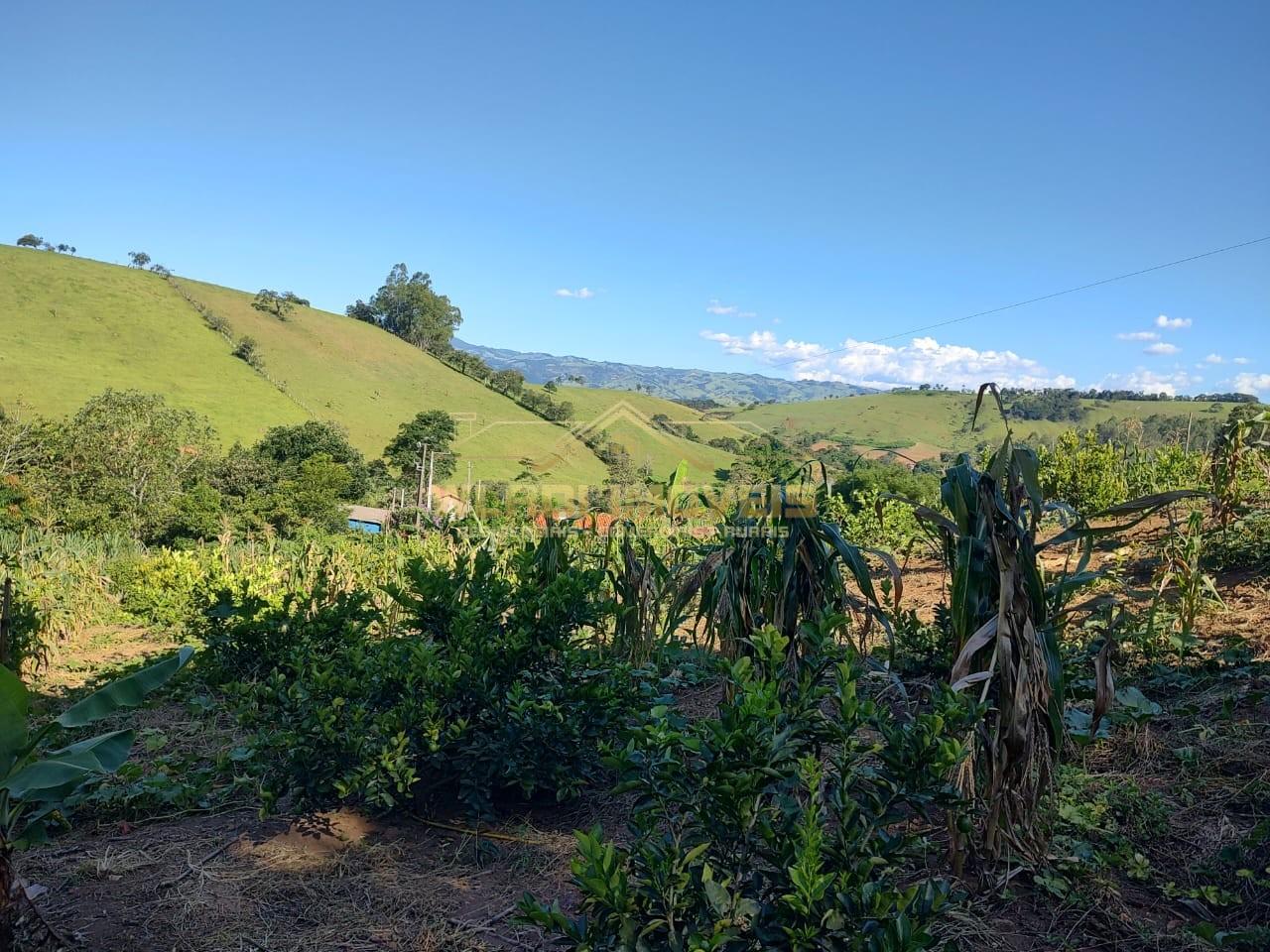 Chácara, 5000 m² - Foto 1