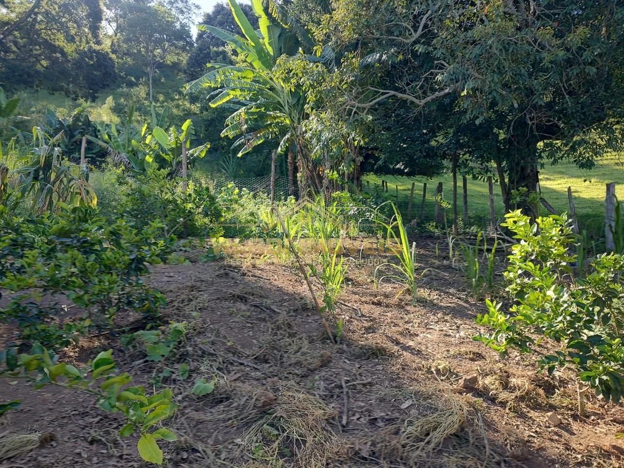 Chácara, 5000 m² - Foto 10