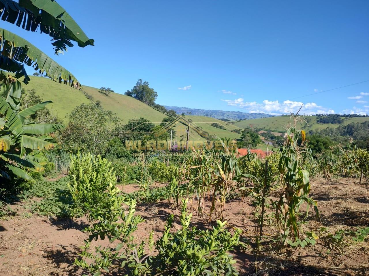 Chácara, 5000 m² - Foto 12