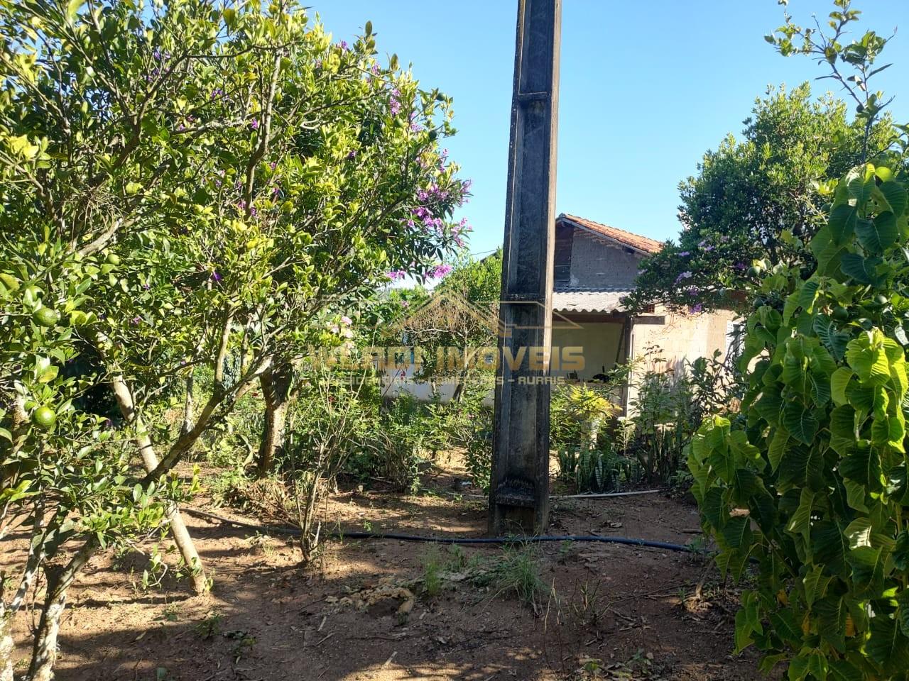 Chácara, 5000 m² - Foto 15