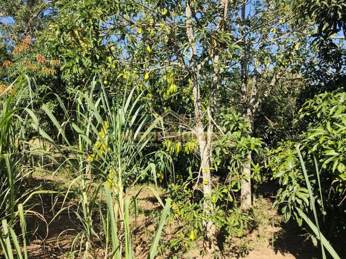 Chácara, 5000 m² - Foto 16