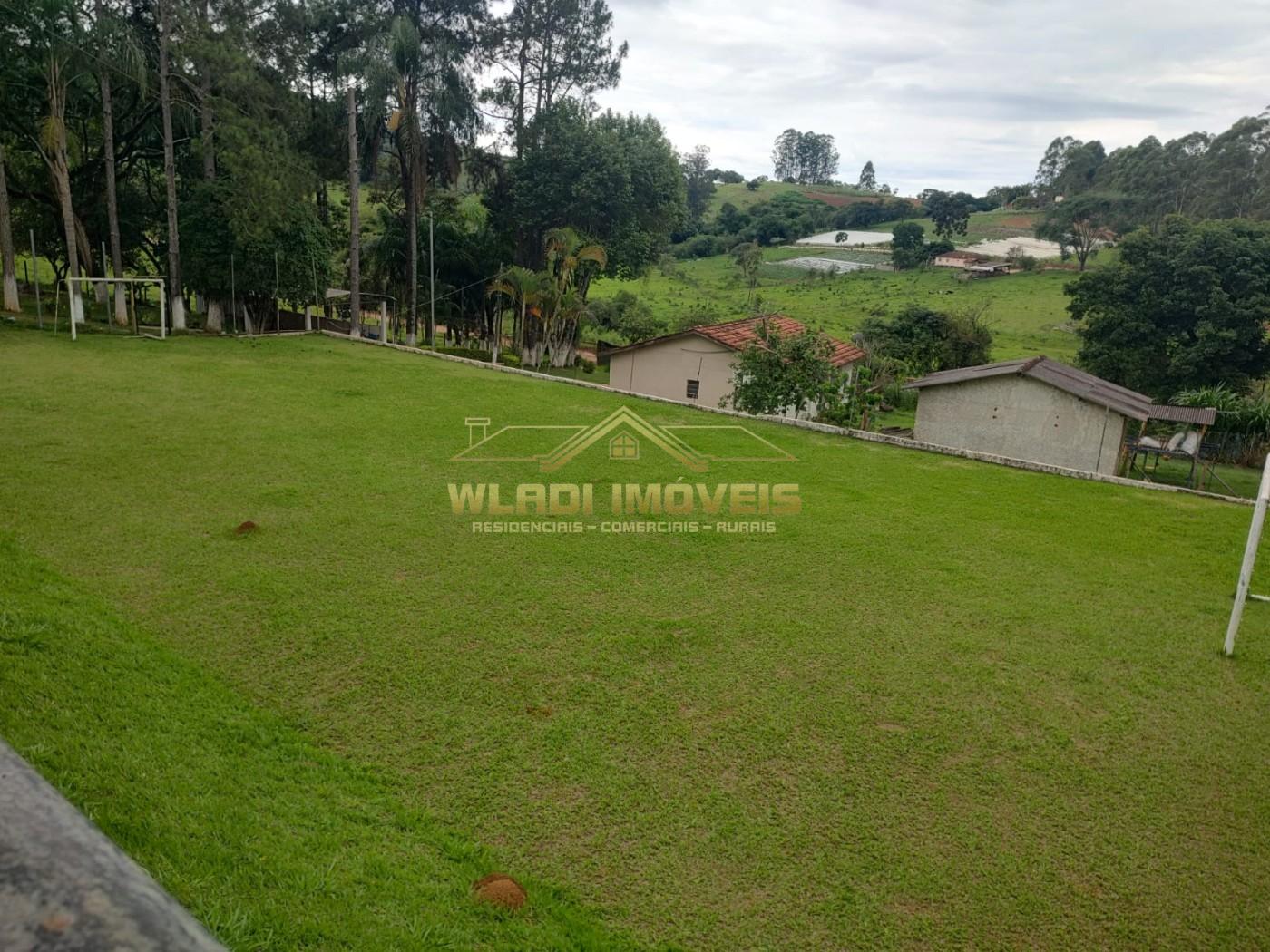 Sítio, 7 hectares - Foto 5