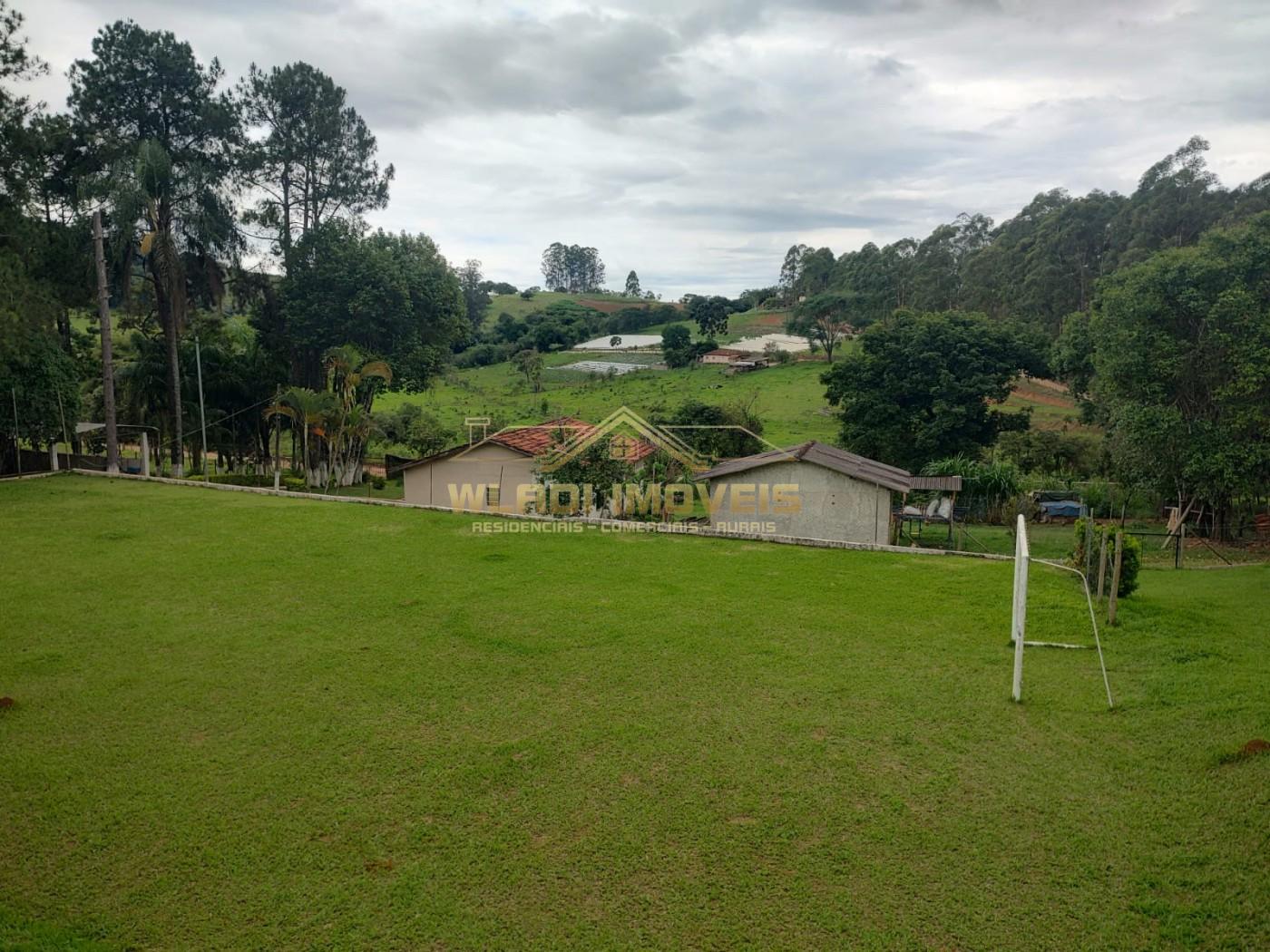 Sítio, 7 hectares - Foto 15