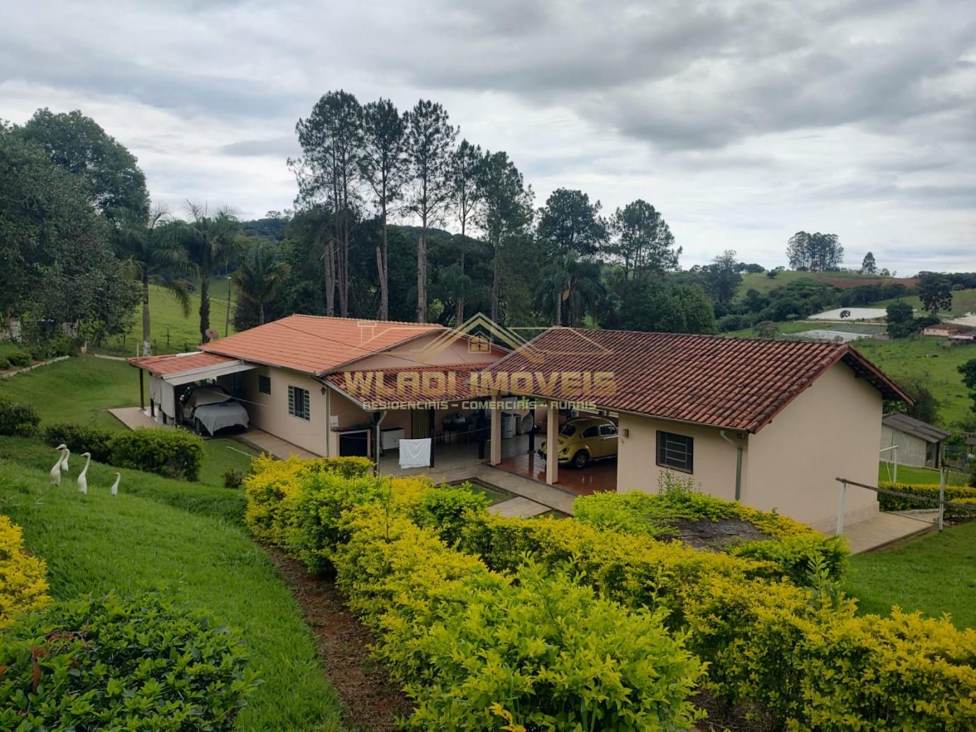 Sítio, 7 hectares - Foto 1