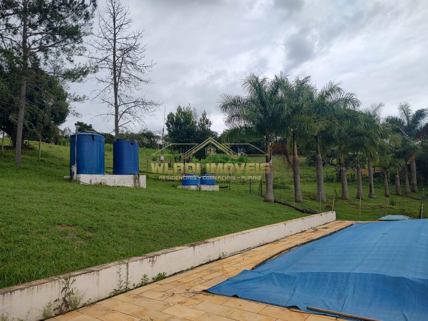 Sítio, 7 hectares - Foto 3