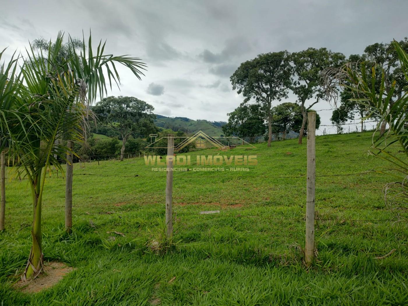 Sítio, 7 hectares - Foto 2