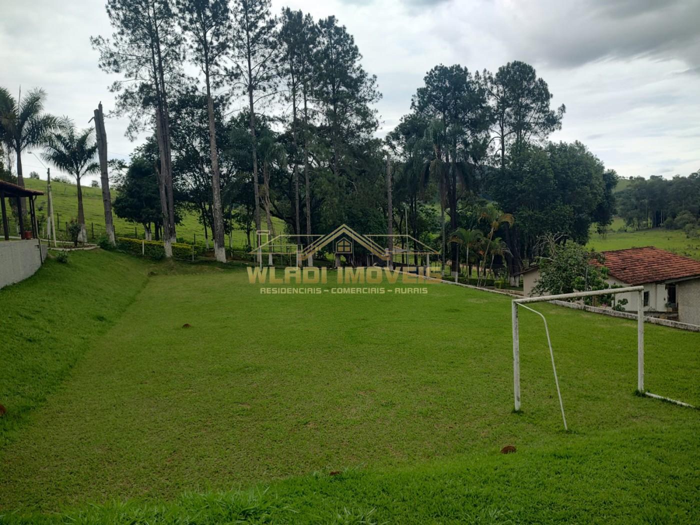 Sítio, 7 hectares - Foto 10