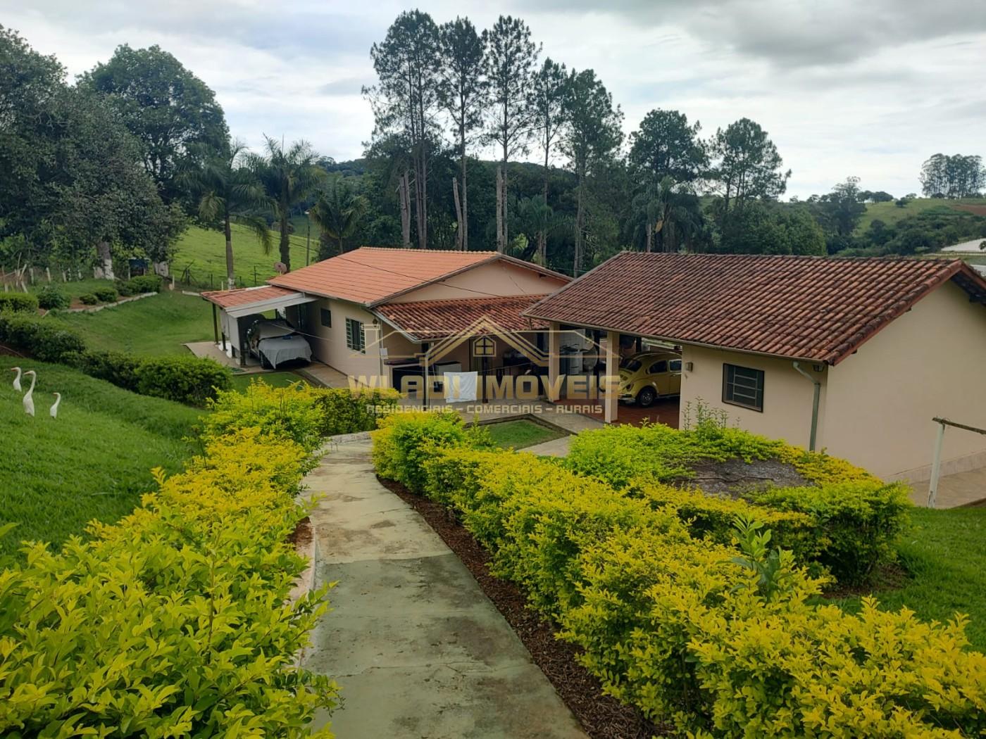 Sítio, 7 hectares - Foto 13