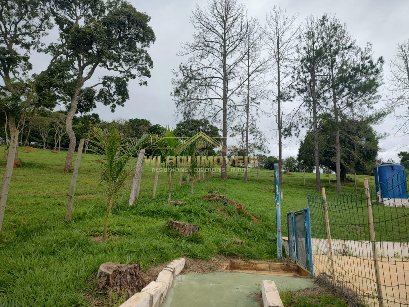 Sítio, 7 hectares - Foto 14