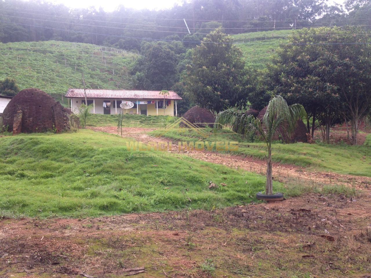 Sítio, 7 hectares - Foto 6