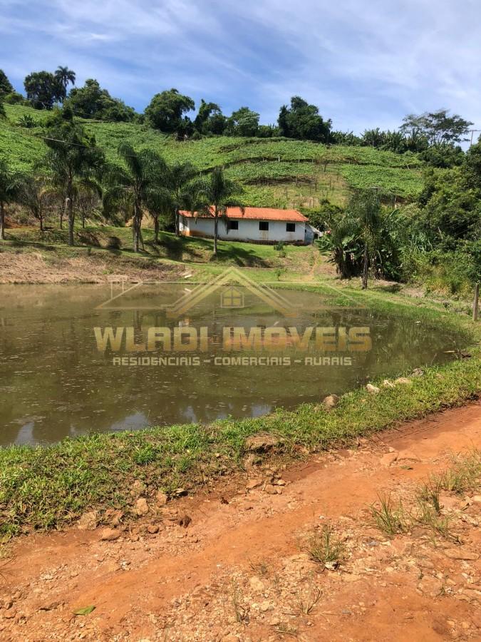 Sítio, 7 hectares - Foto 3