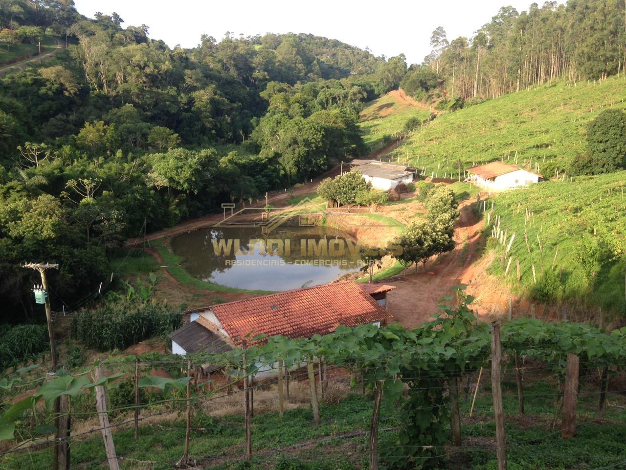 Sítio, 7 hectares - Foto 4