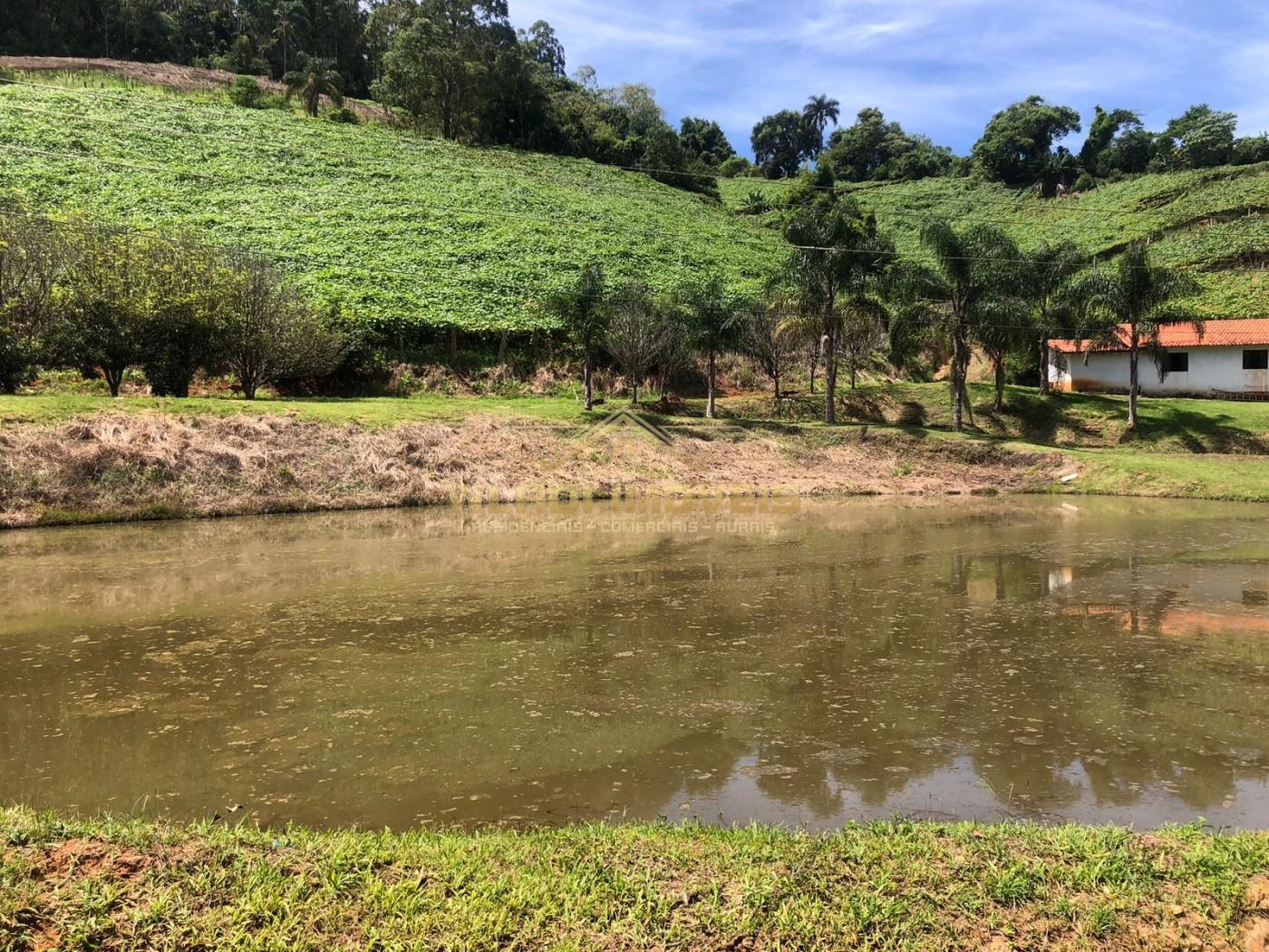 Sítio, 7 hectares - Foto 1