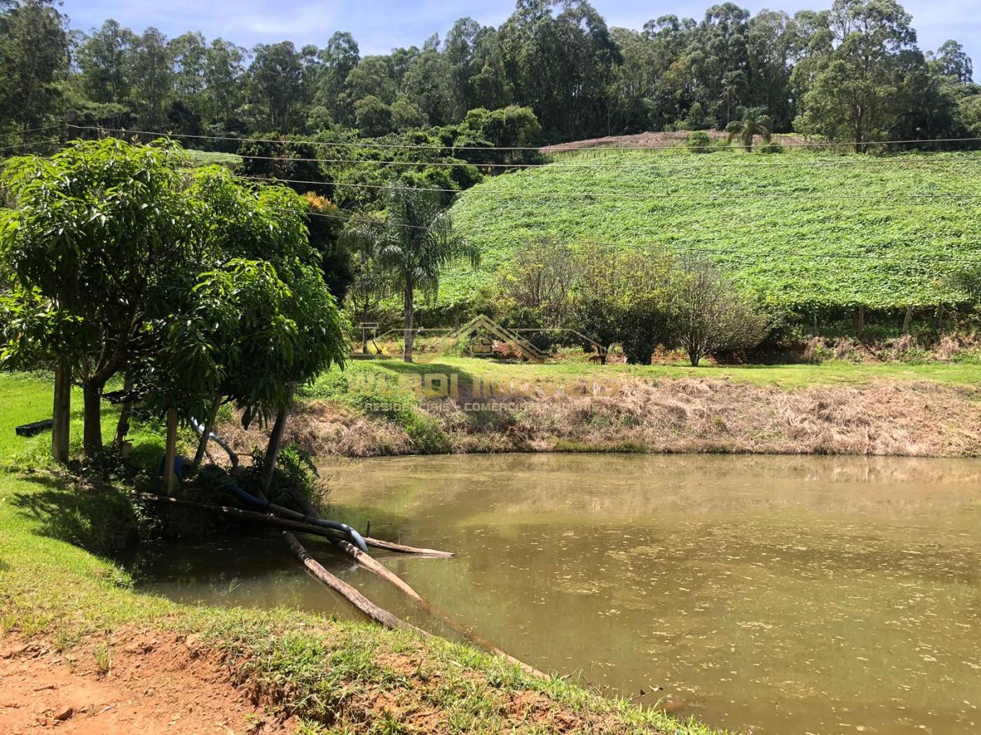 Sítio, 7 hectares - Foto 7