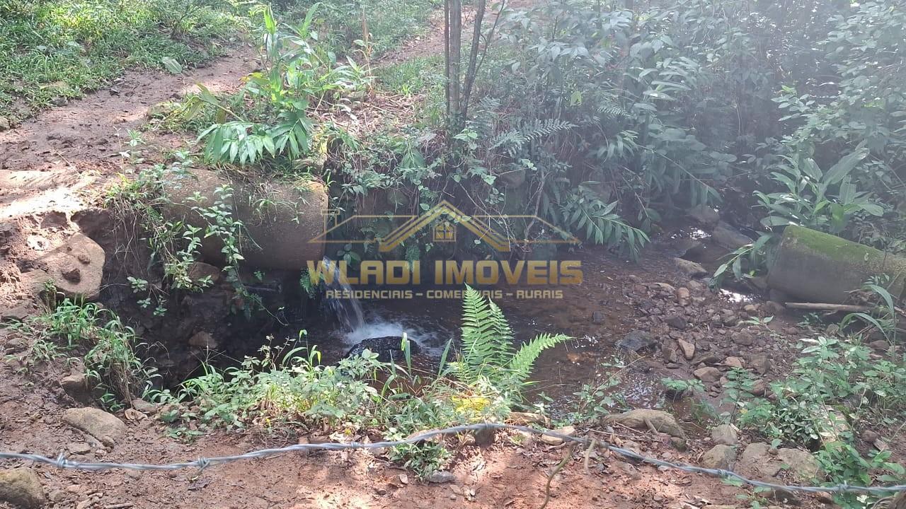 Sítio, 2 m² - Foto 2