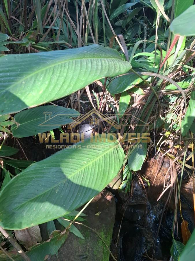 Sítio, 2 m² - Foto 11