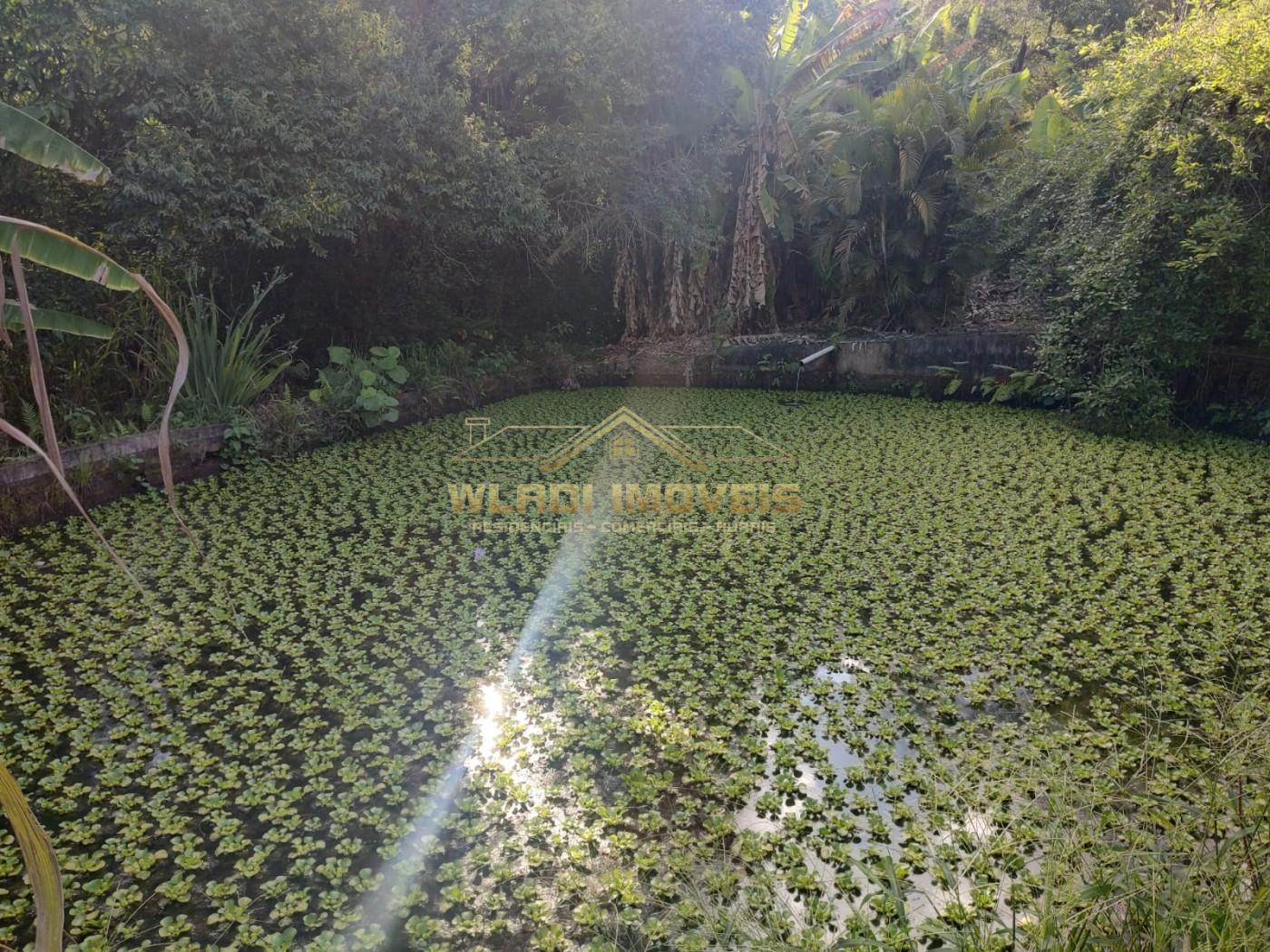 Sítio, 2 m² - Foto 13