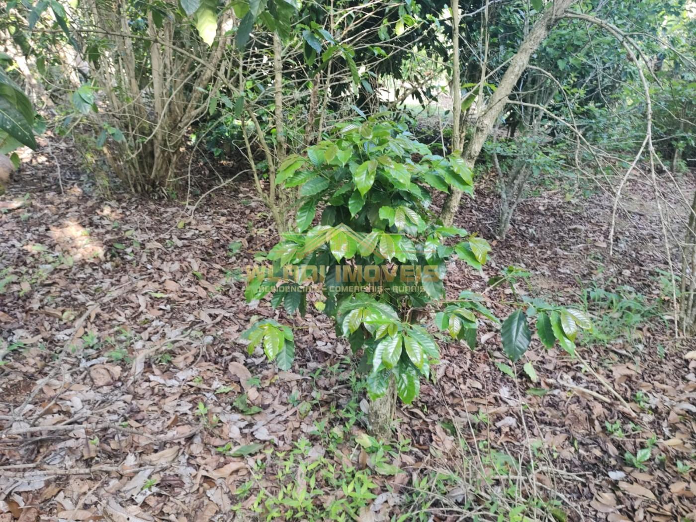 Sítio, 2 m² - Foto 17