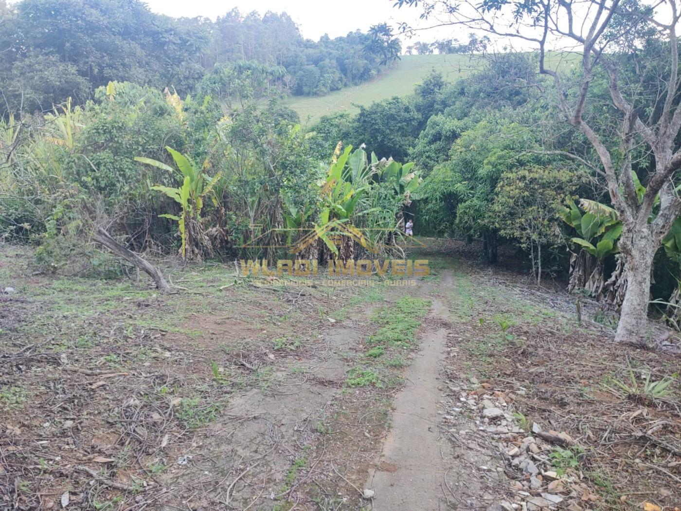 Sítio, 2 m² - Foto 4