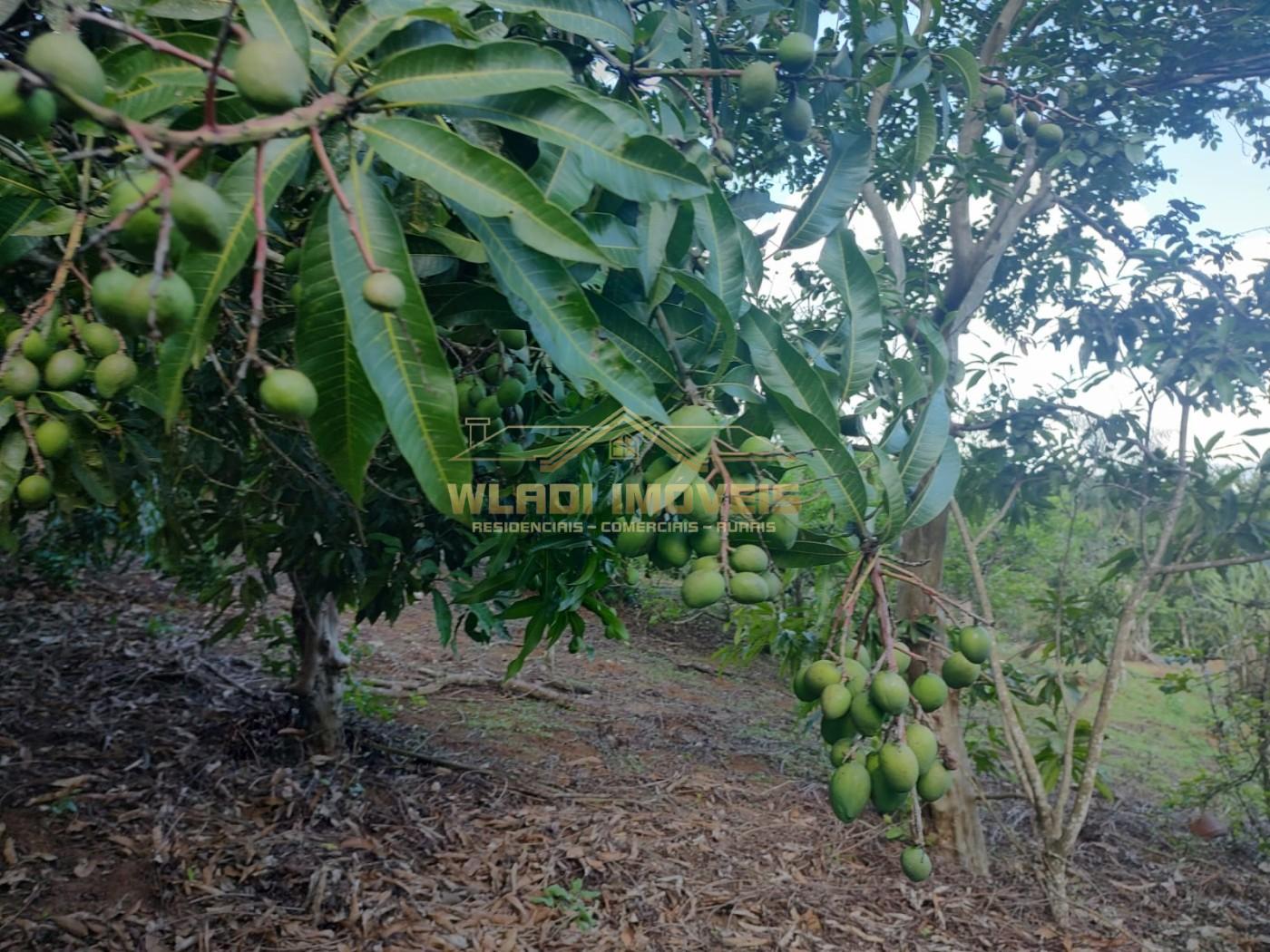 Sítio, 2 m² - Foto 20