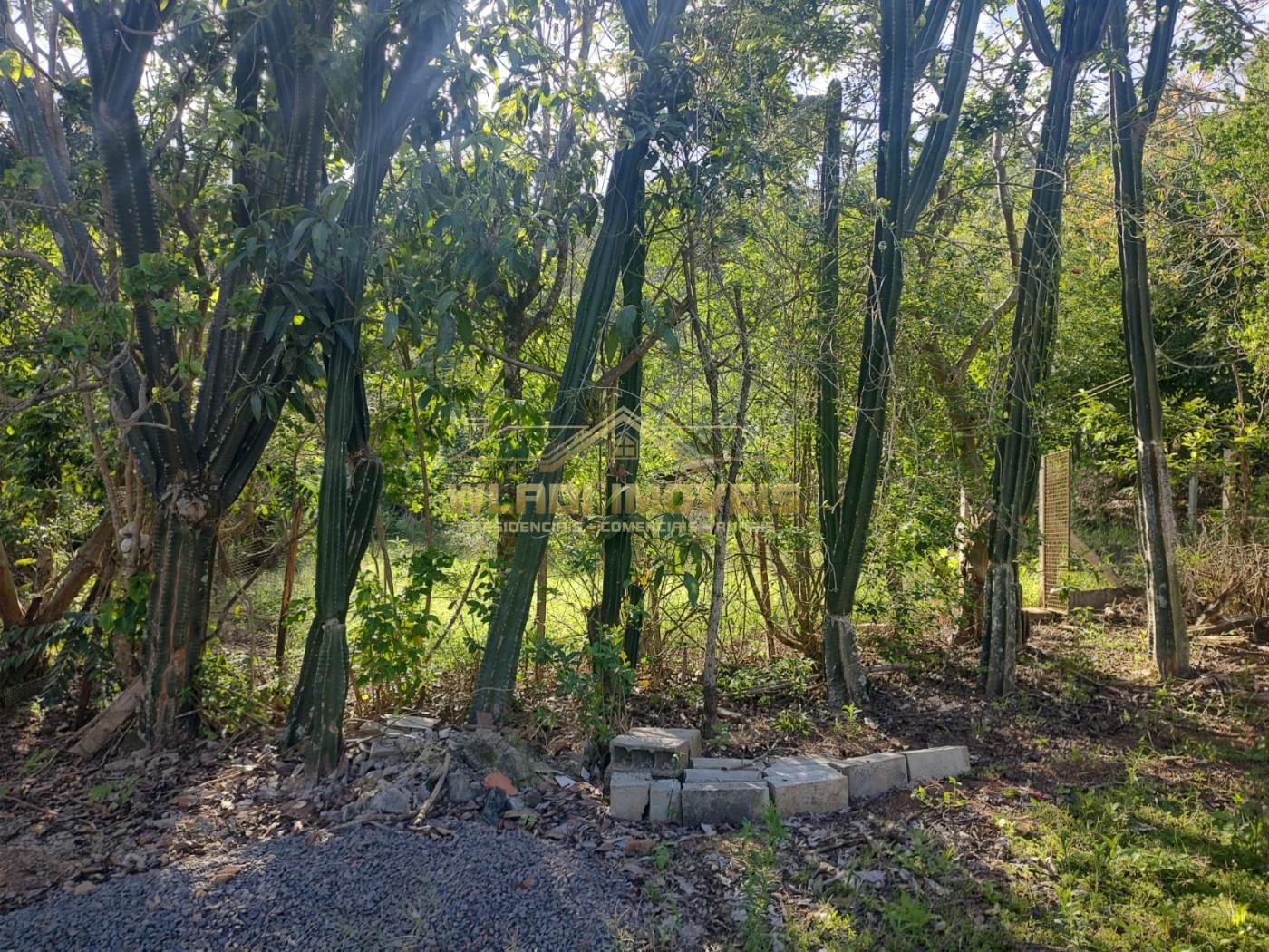 Sítio, 2 m² - Foto 22