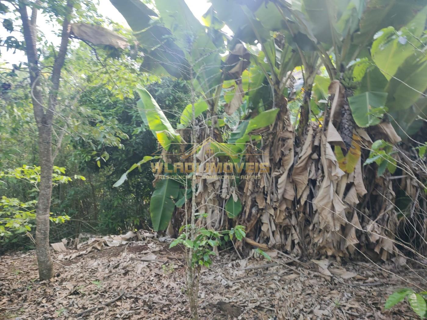 Sítio, 2 m² - Foto 21