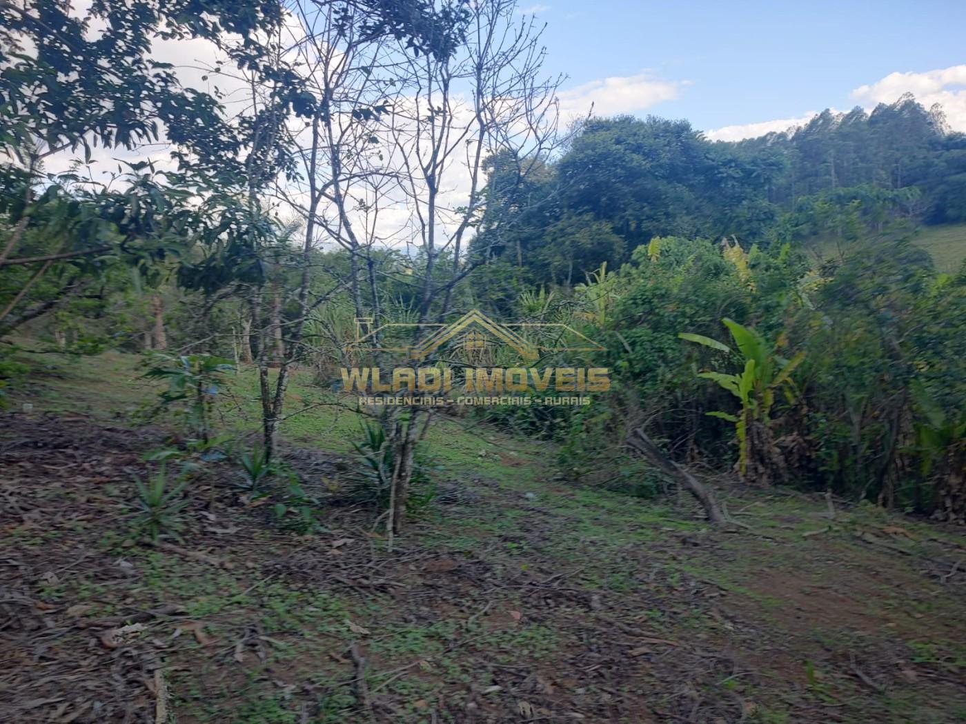 Sítio, 2 m² - Foto 3